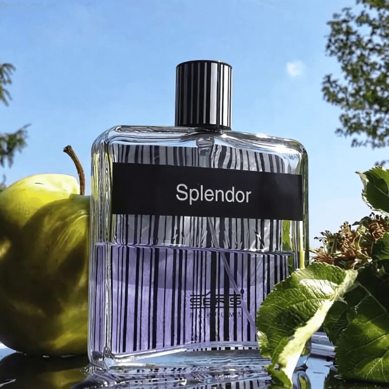 Splendor Black