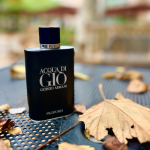 Acqua di Giò Profumo