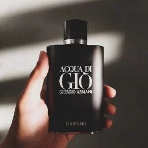 Acqua di Giò Profumo