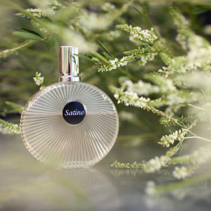 Lalique Satine